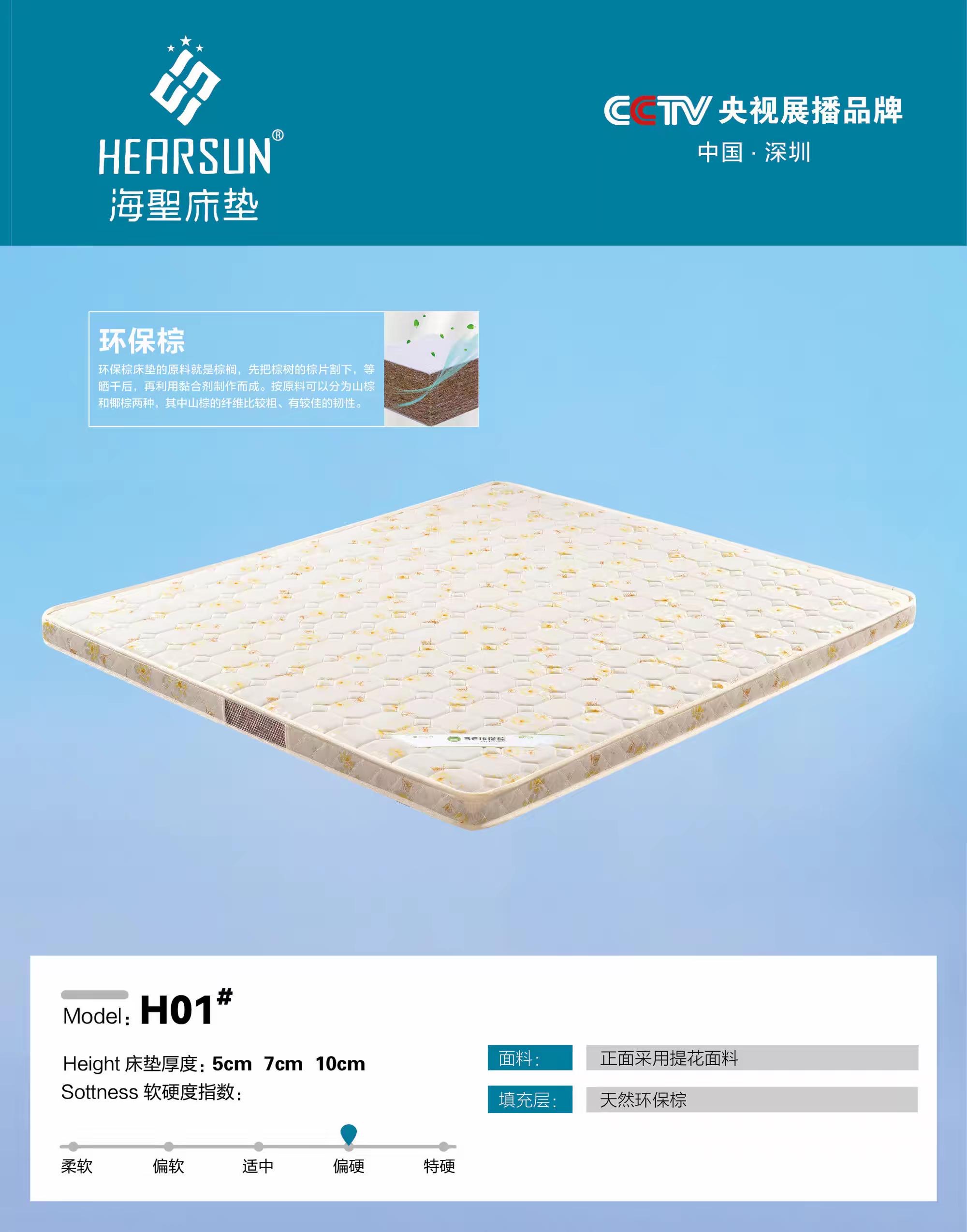H01#