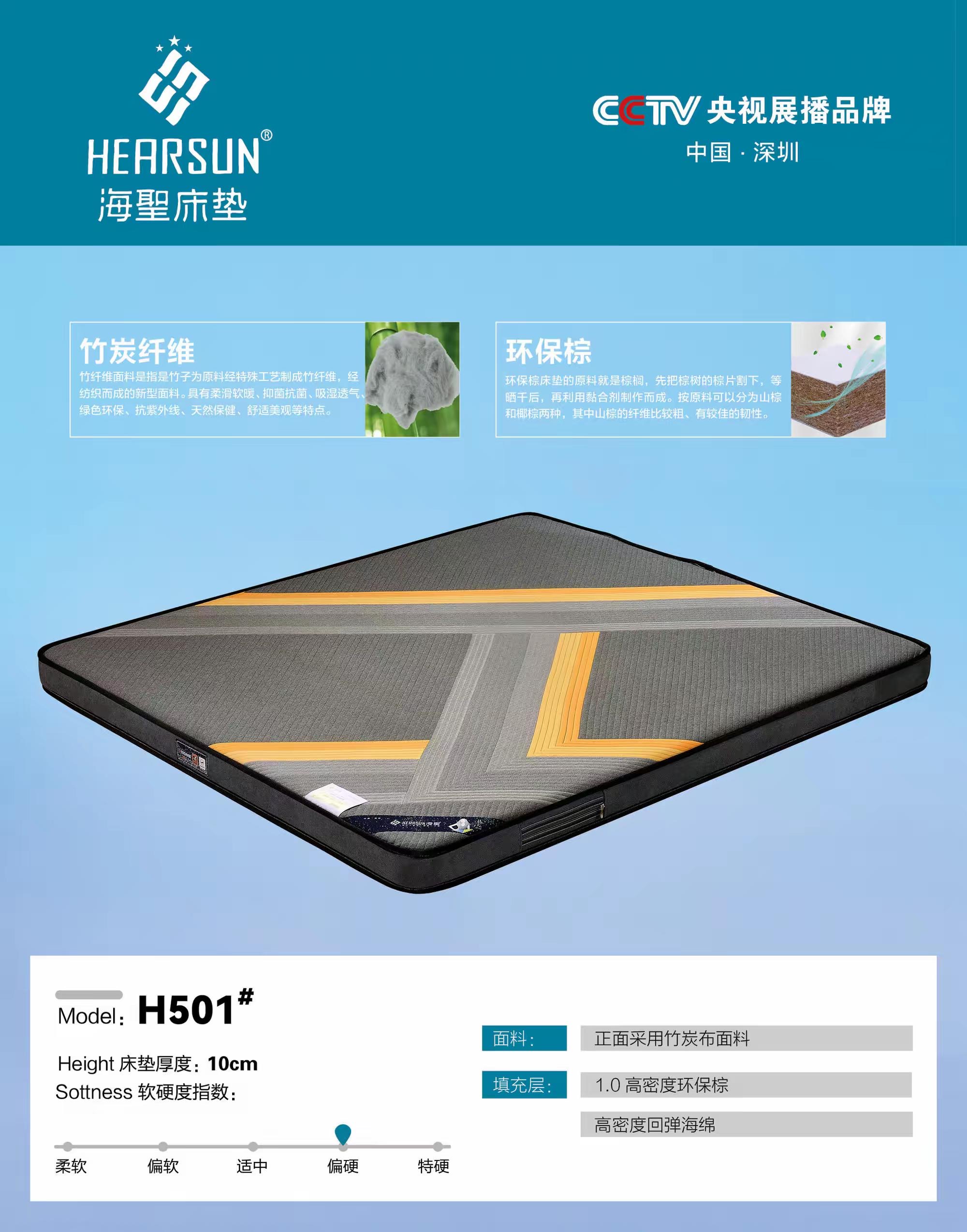 H501#.jpg